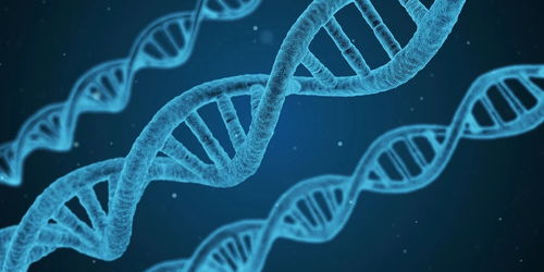 沃森生物“朝令夕改”引市場嘩然 上市公司決策豈能如此兒戲？